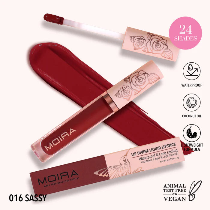 Lip Divine Liquid Lipstick Moira Cosmetics