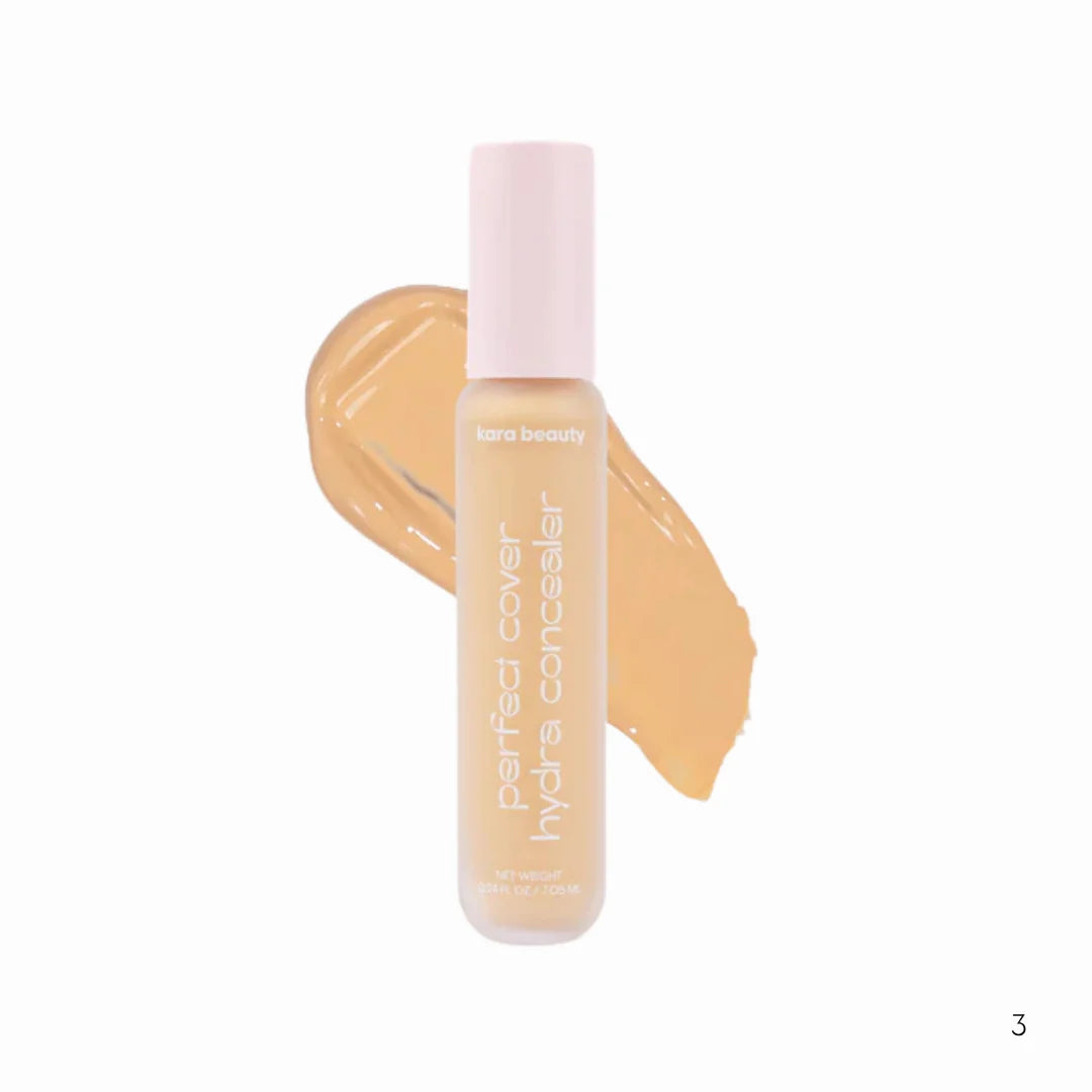 Perfect Cover Concealer Kara Beauty