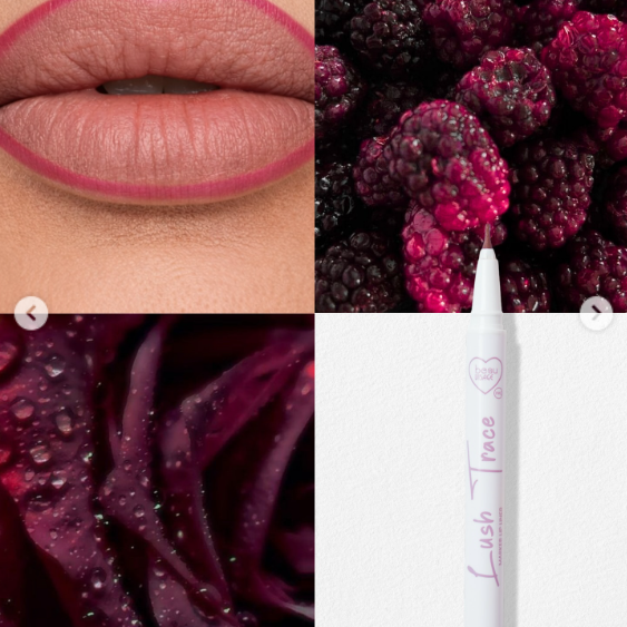 Delineador de Labios Lush Trace Beau Visage